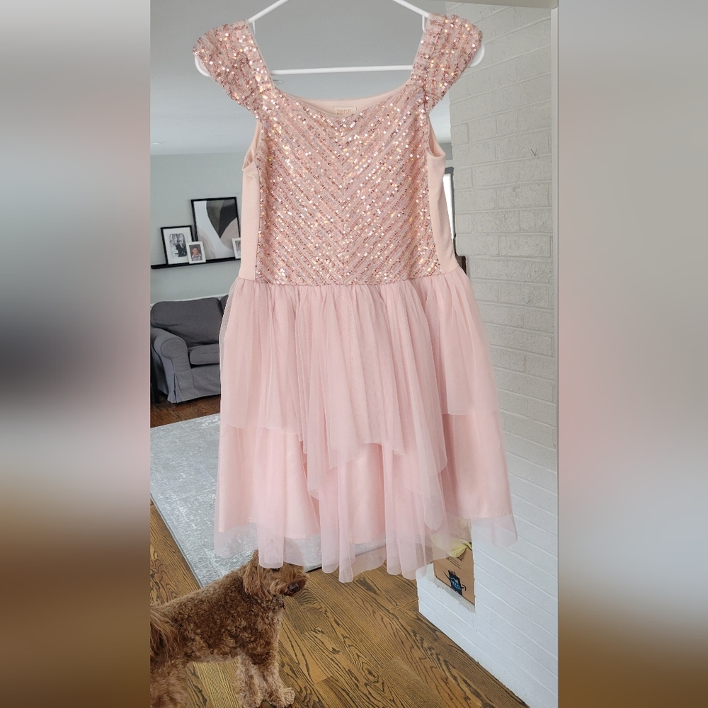 Pink rose gold Sequin Tulle Dress